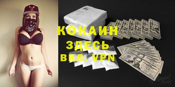 винт Новозыбков