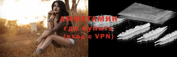 прущие грибы Нягань