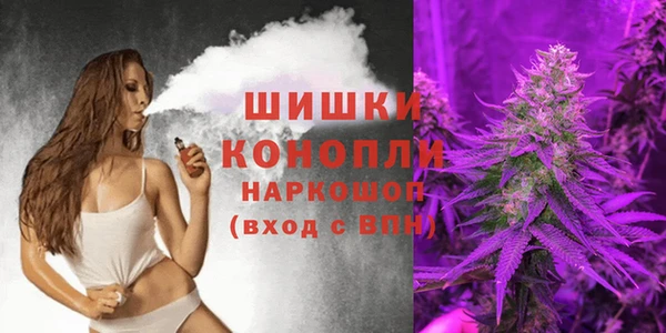 прущие грибы Нягань