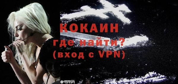 прущие грибы Нягань