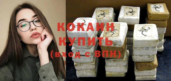 винт Новозыбков