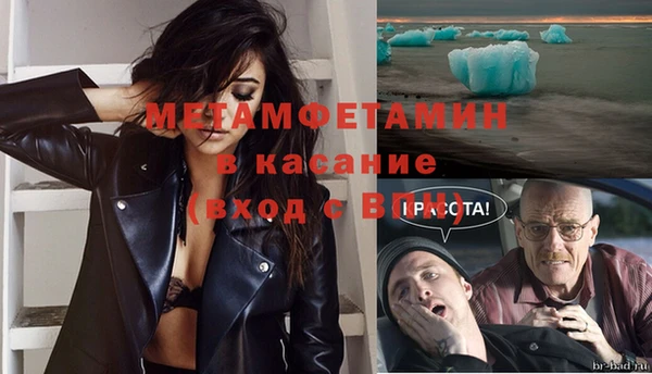 молекула духа Богданович