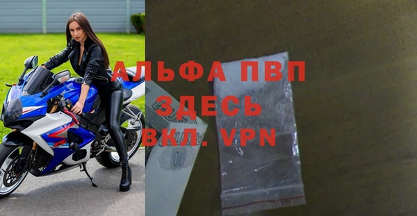 прущие грибы Нягань