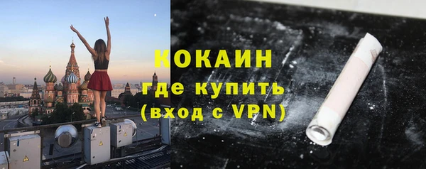 прущие грибы Нягань