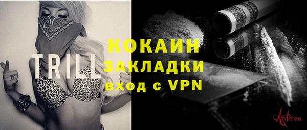 прущие грибы Нягань