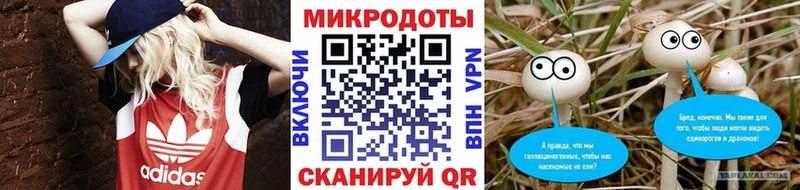 Псилоцибиновые грибы Psilocybine cubensis Остров