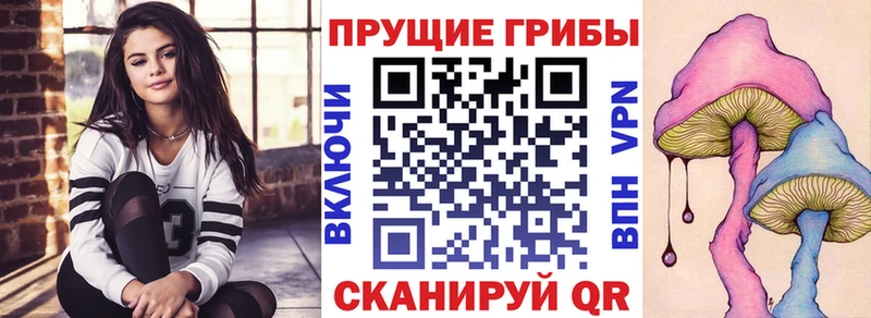 blacksprut маркетплейс  Остров  Псилоцибиновые грибы ЛСД  купить закладку 